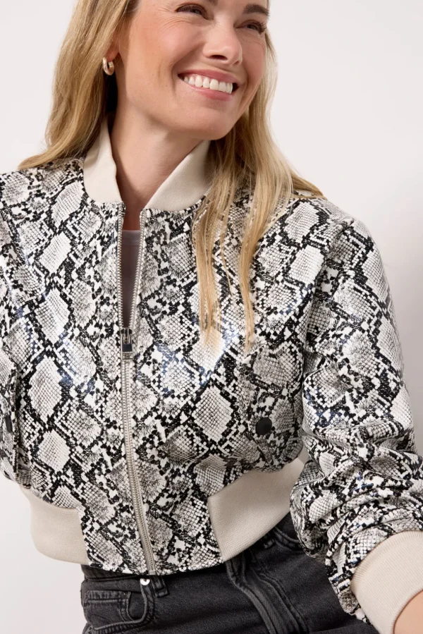 Evelin Python Bomber
