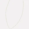 Griffin Dog Tag Necklace