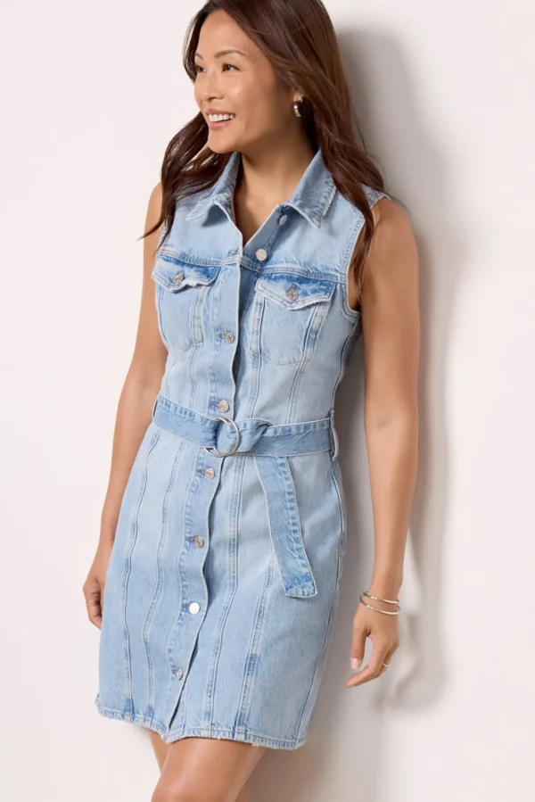 Wilshire Denim Dress